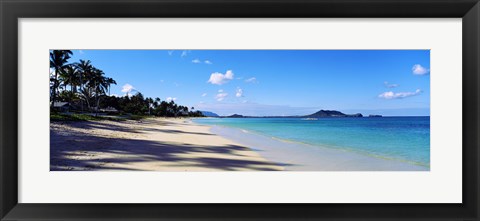 Framed Palm trees on the beach, Lanikai Beach, Oahu, Hawaii, USA Print