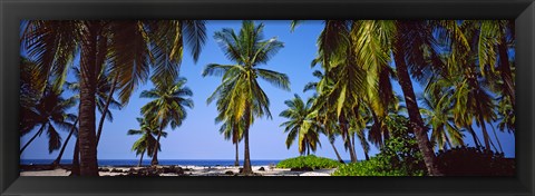 Framed Palm trees on the beach, Puuhonua O Honaunau National Historical Park, Hawaii, USA Print