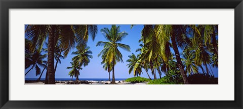 Framed Palm trees on the beach, Puuhonua O Honaunau National Historical Park, Hawaii, USA Print