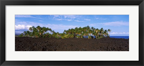 Framed Palm trees on the beach, Keawaiki Bay, Hawaii, USA Print