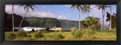 Framed Horse and palm trees on the coast, Hawaii, USA Print