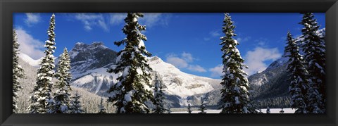 Framed Snow covered trees with mountain range in the background, Emerald Lake, Yoho National Park, Canada Print