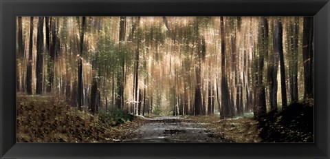 Framed Enchanted forest Print