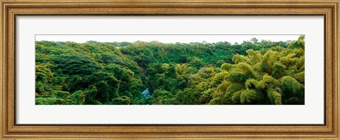 Framed Countryside, Mauritius Island, Mauritius Print