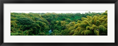 Framed Countryside, Mauritius Island, Mauritius Print