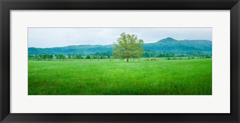 Framed Agricultural field with mountains in the background, Cades Cove, Great Smoky Mountains National Park, Tennessee, USA Print