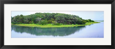 Framed Trees at Rachel Carson Coastal Nature Preserve, Beaufort, North Carolina, USA Print