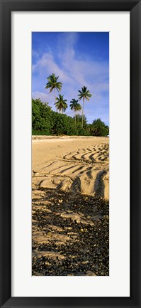 Framed Palm trees on the beach, Rarotonga, Cook Islands, New Zealand Print