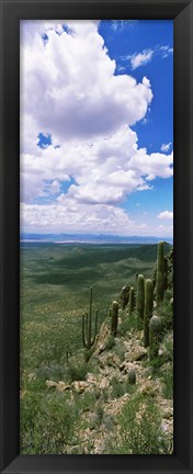 Framed Clouds over a landscape, Tucson Mountain Park, Tucson, Arizona, USA Print