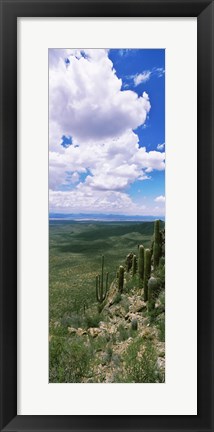 Framed Clouds over a landscape, Tucson Mountain Park, Tucson, Arizona, USA Print