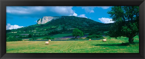 Framed Tree in a field, Mevouillon, Provence-Alpes-Cote d&#39;Azur, France Print