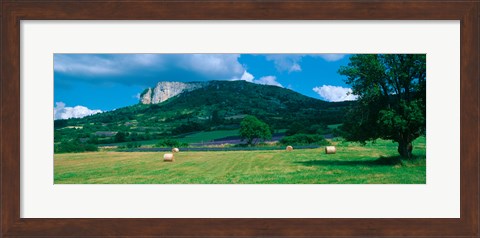 Framed Tree in a field, Mevouillon, Provence-Alpes-Cote d&#39;Azur, France Print