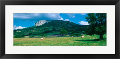 Framed Tree in a field, Mevouillon, Provence-Alpes-Cote d&#39;Azur, France Print