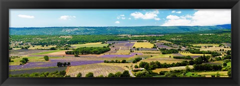 Framed Aerial view of fields, Provence-Alpes-Cote d&#39;Azur, France Print