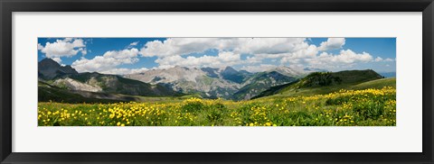 Framed Wildflowers in a field, Champs Pass, French Riviera, France Print