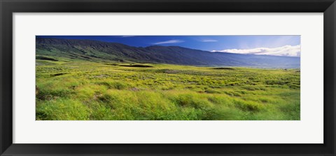 Framed Grassland, Kula, Maui, Hawaii, USA Print