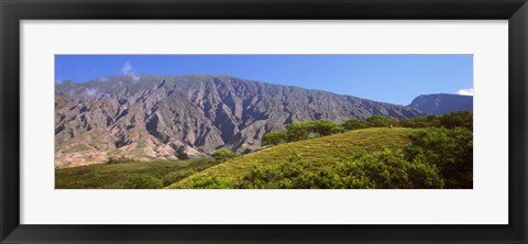 Framed Trees on a hill near Haleakala Crater, Maui, Hawaii, USA Print