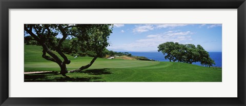 Framed Trees on a golf course, The Manele Golf course, Lanai City, Hawaii, USA Print