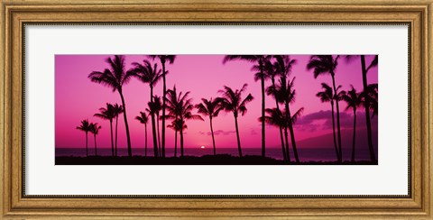 Framed Silhouette of palm trees at dusk, Hawaii, USA Print