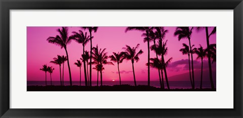 Framed Silhouette of palm trees at dusk, Hawaii, USA Print