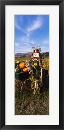 Framed Scarecrow in Pumpkin Patch, Half Moon Bay, California (vertical) Print