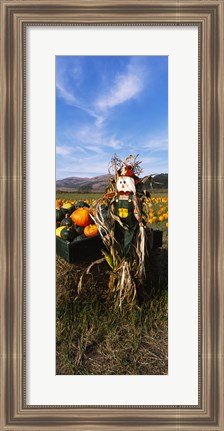 Framed Scarecrow in Pumpkin Patch, Half Moon Bay, California (vertical) Print