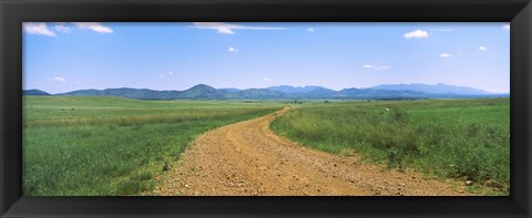 Framed Dirt road passing through a landscape, San Rafael Valley, Arizona Print