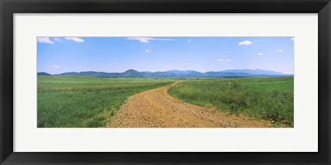 Framed Dirt road passing through a landscape, San Rafael Valley, Arizona Print