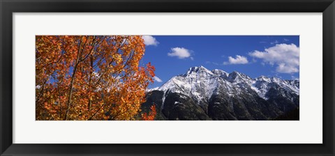 Framed Autumn Trees and snowcapped mountains, Colorado Print