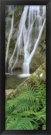 Framed Ferns and the Aber Falls, Abergwyngregyn, Gwynedd, Wales Print