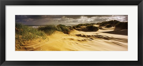 Framed Marram grass on the beach, Sands of Forvie, Newburgh, Aberdeenshire, Scotland Print