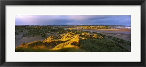 Framed Sand dunes on the beach, Newburgh, River Ythan, Aberdeenshire, Scotland Print