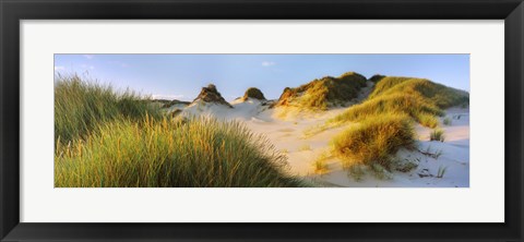 Framed Morning light on Forvie dunes, Newburgh, Aberdeenshire, Scotland Print