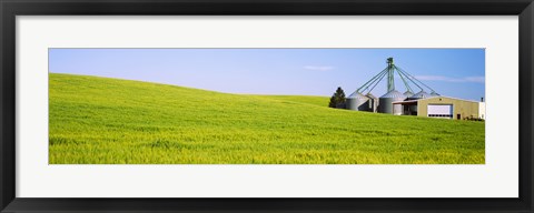 Framed Wheat field with silos in the background, Palouse County, Washington State Print