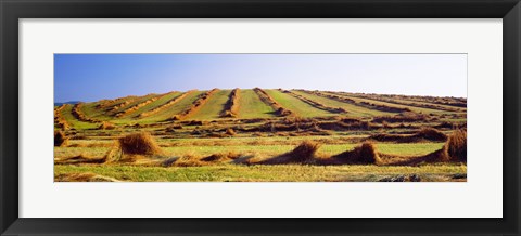 Framed Harvested wheat field, Palouse County, Washington State, USA Print