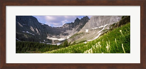 Framed Beargrass with mountains in the background, Montana Print