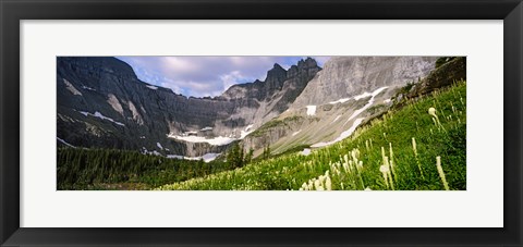 Framed Beargrass with mountains in the background, Montana Print