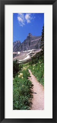 Framed Hiking trail at US Glacier National Park, Montana, USA Print