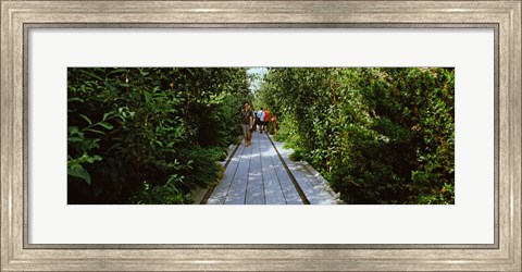 Framed People walking on walkway in an elevated park, High Line, New York City, New York State, USA Print