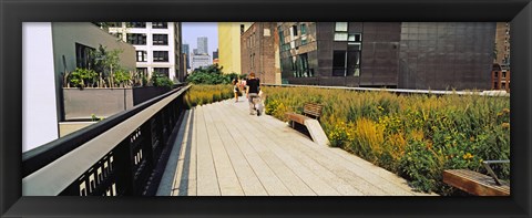 Framed Walkway in a linear park, High Line, New York City, New York State, USA Print