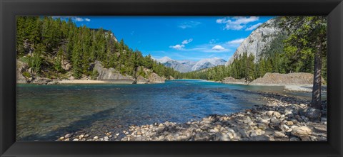 Framed River passing through a forest, Bow River, Banff National Park, Alberta, Canada Print