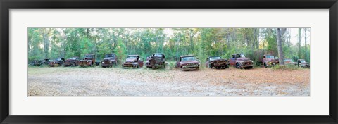 Framed Old rusty cars and trucks in a field, Crawfordville, Wakulla County, Florida, USA Print