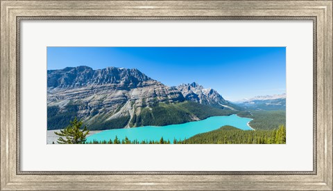 Framed Peyto Lake at Banff National Park, Alberta, Canada Print