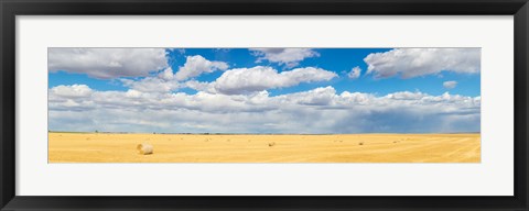 Framed Hay bales in a field, Alberta, Canada Print