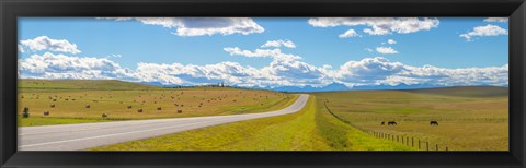 Framed Road passing through a field, Alberta, Canada Print