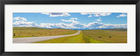 Framed Road passing through a field, Alberta, Canada Print