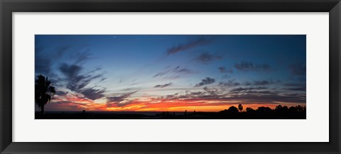 Framed Silhouette of trees at sunset, Todos Santos, Baja California, Mexico Print