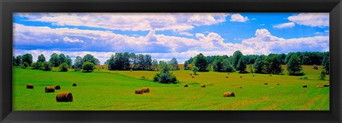 Framed Hay bales in a landscape, Michigan, USA Print