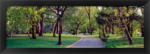 Framed Trees in a public park, Central Park, Manhattan, New York City, New York State, USA Print