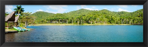 Framed Trees on a hill, Las Terrazas, Pinar Del Rio Province, Cuba Print